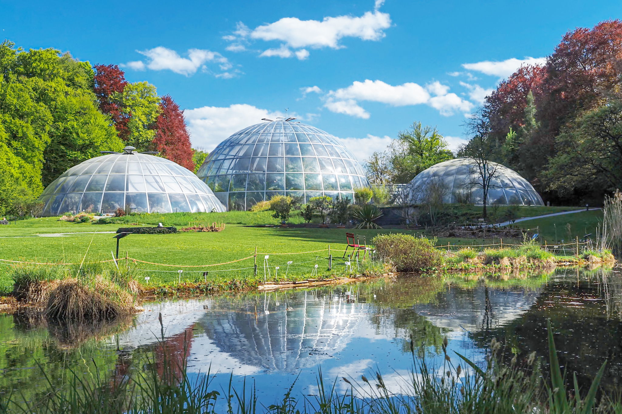 botanical garden 　　no1 Welcome! | Botanical Garden | UZH